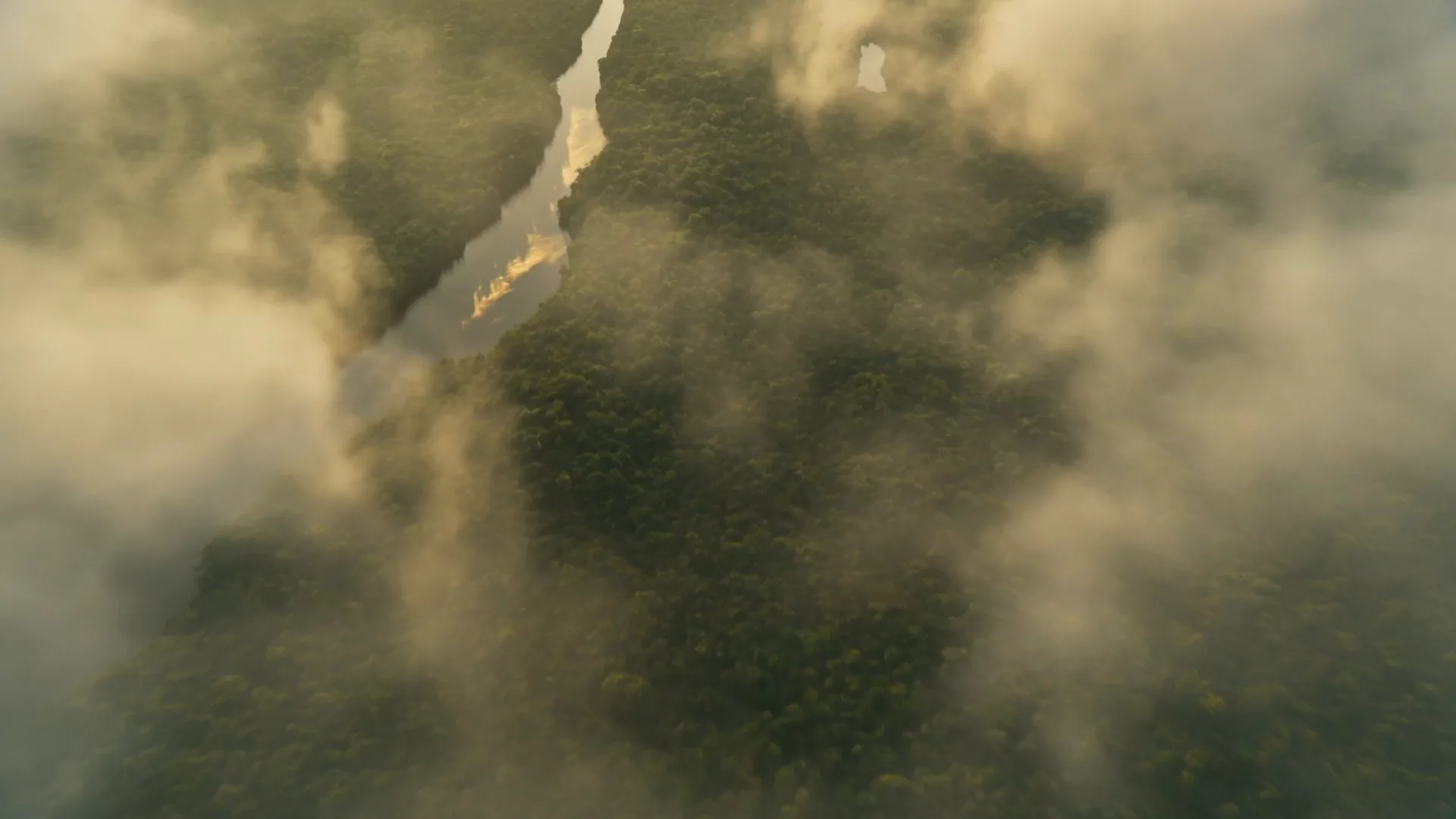 Aerial view over lush Malaysian rainforest, winding river deltas and coastline at a golden-green sunrise, mist rising off the canopy.